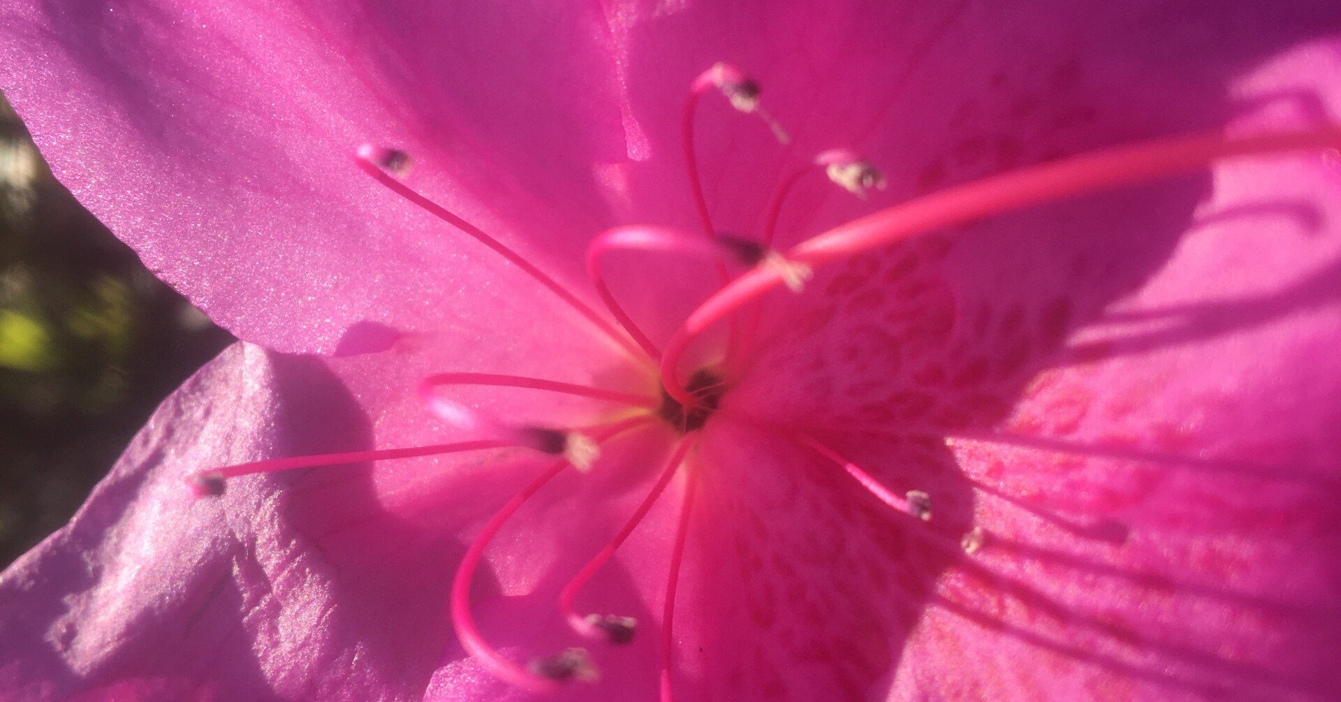 ポ笑いノベル 五条さんの最強にエッチな漫画 オカ イサム ポエレーベル 即興詩人 Ai Ueoka Note