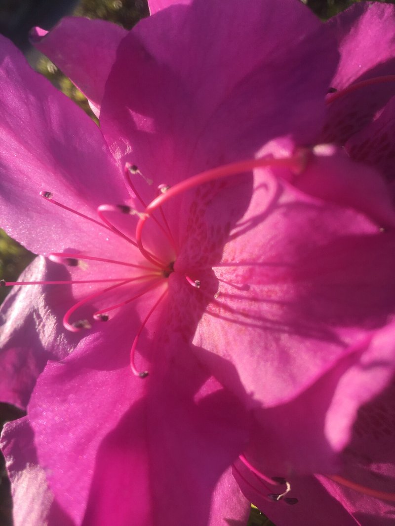 ポ笑いノベル 五条さんの最強にエッチな漫画 オカ イサム ポエレーベル 即興詩人 Ai Ueoka Note