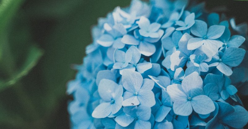 Lightroom エモいフィルム風 プリセット配信 Nocchi のっち Note Lightroom エモいフィルム風 プリセット配信 Nocchi のっち Note
