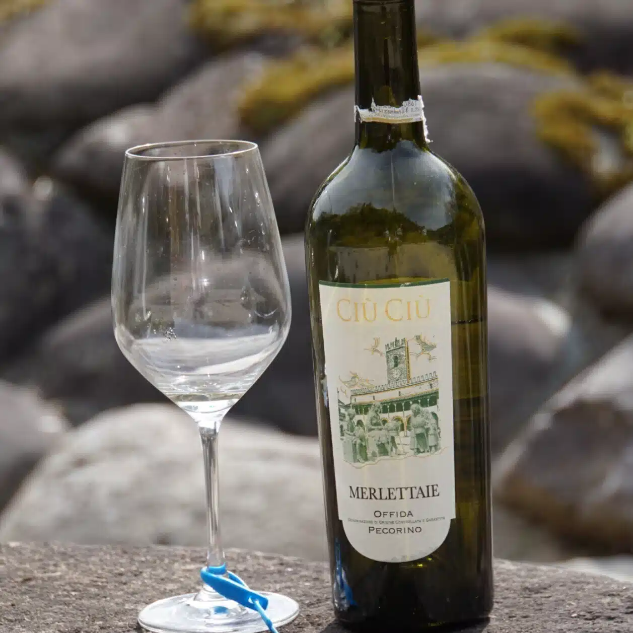 No wine, no life