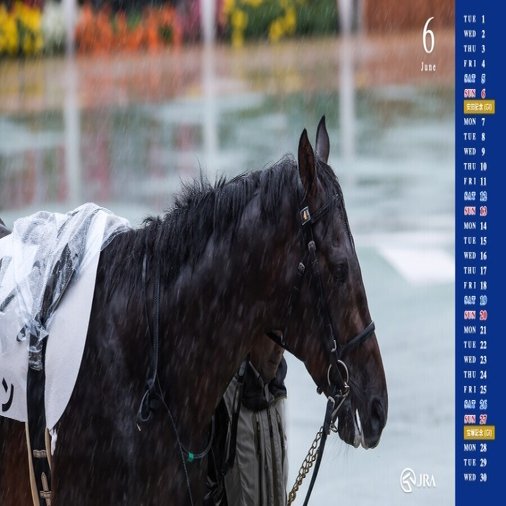 日本ダービー21サイン考察 Jraオリジナル壁紙 カレンダー 6月 が公開 毎年日本ダービーに直結するサインを極める 目黒記念の最終結論も掲載 斎藤司 サイン競馬の世界 Note