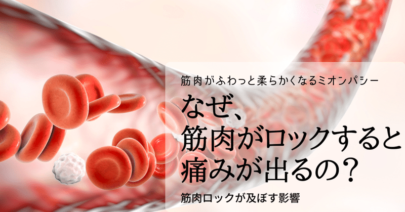 慢性痛の原因は筋肉の酸欠 硬くなった筋肉と痛みの関係 筋肉がふわっと柔らかくなるミオンパシー 辻村裕美子 Note