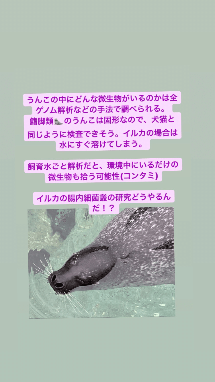 おすすめ水族館 鴨川シーワールド 獣医師ふーの 獣医さんとやってみよう自由研究 Note おすすめ水族館 鴨川シーワールド 獣医師ふーの 獣医さんとやってみよう自由研究 Note