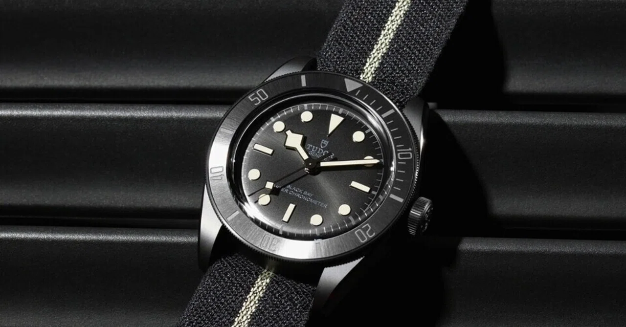 TUDOR Black Bay Ceramicについて｜ばーわんちゃん