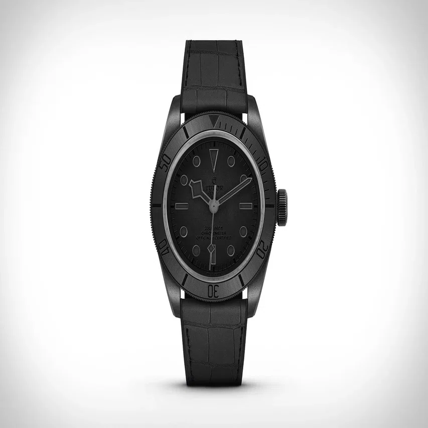 TUDOR Black Bay Ceramicについて｜ばーわんちゃん