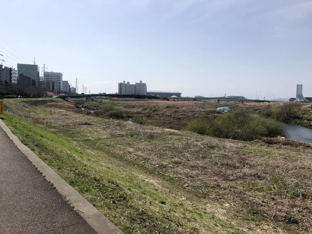 画像4