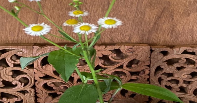 Chabana-Flower arrangement for Chado