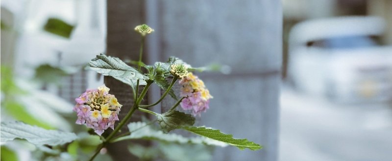 11月の振り返り