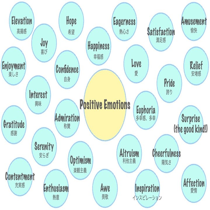 ポジテイブ組織心理学を学んでみた其の五 成功を引き寄せる起因 ポジティブ感情 編 Grand Design Ltd Note