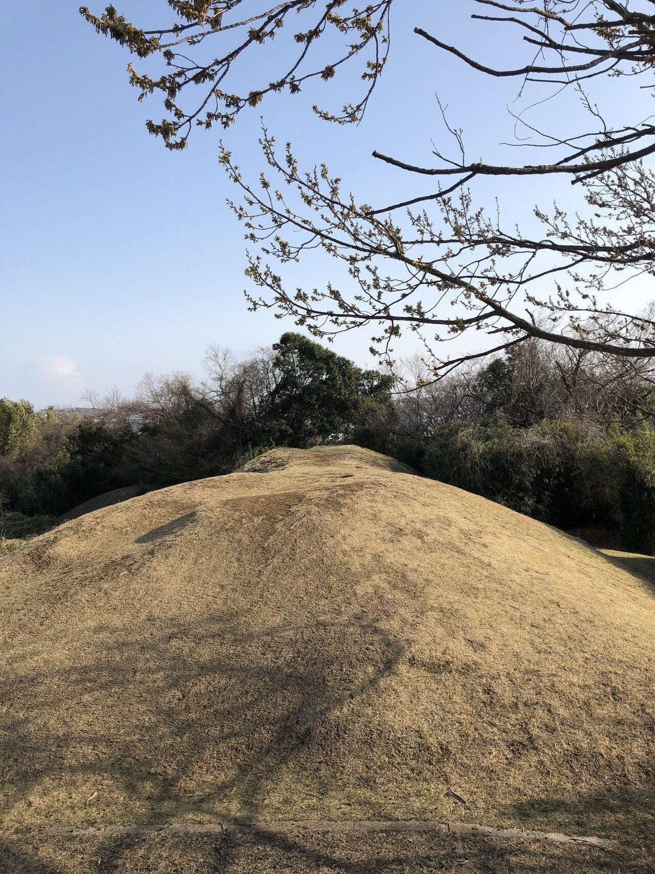 再訪 稲荷前古墳群 鶴見川遺跡紀行 10 とぅーむゅらす Note 再訪 稲荷前古墳群 鶴見川遺跡紀行 10 とぅーむゅらす Note