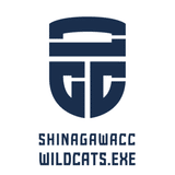 品川CC WILDCATS | 3x3バスケットボールチーム