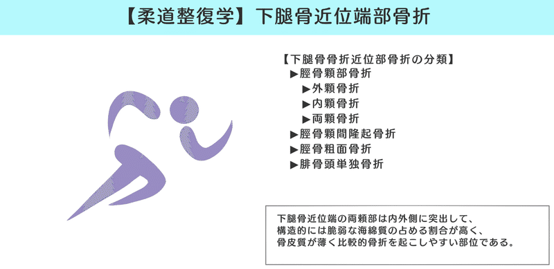 柔道整復学 図解 イラスト とゴロあわせで簡単に覚える 下腿骨骨折 森元塾 国家試験対策 Note 柔道整復学 図解 イラスト とゴロあわせで簡単に覚える 下腿骨骨折 森元塾 国家試験対策 Note