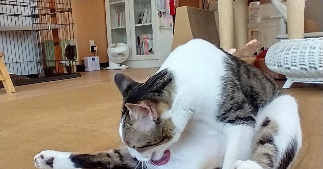 原付アニメの炎上について おむ Note