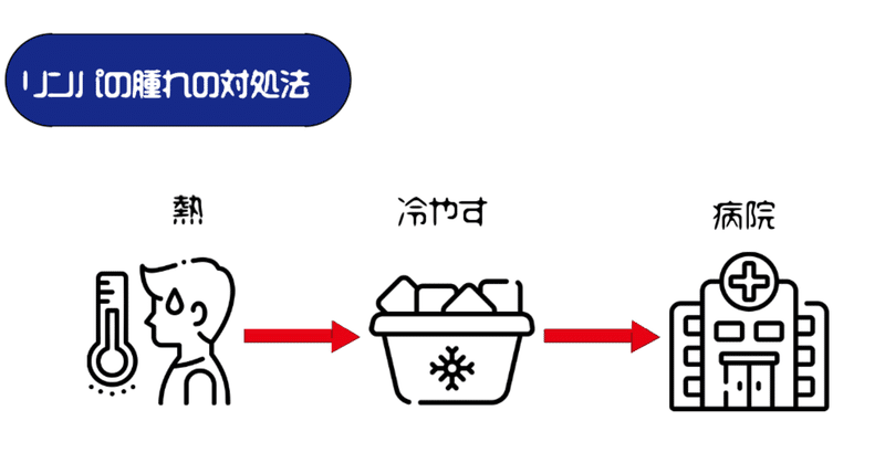 リンパの腫れの対処法 リンパ節のしこりについて しょべるっぺ Note