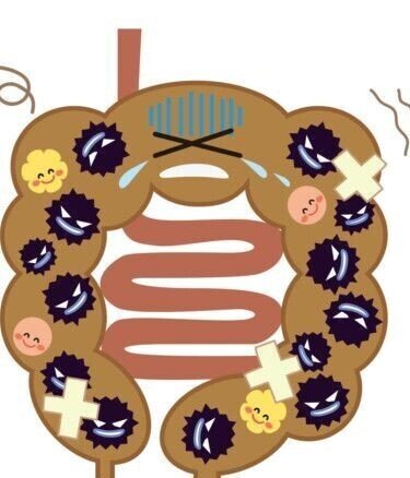 あなたの体質を決めている腸内環境を乱す７つの毒 - 一般社団法人日本健康コンシェルジュ協会