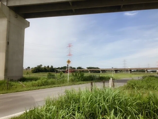 画像6