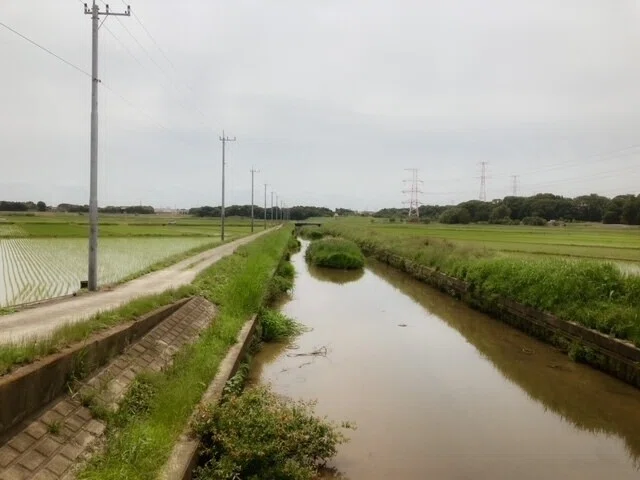 画像7