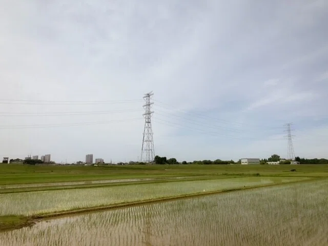 画像8