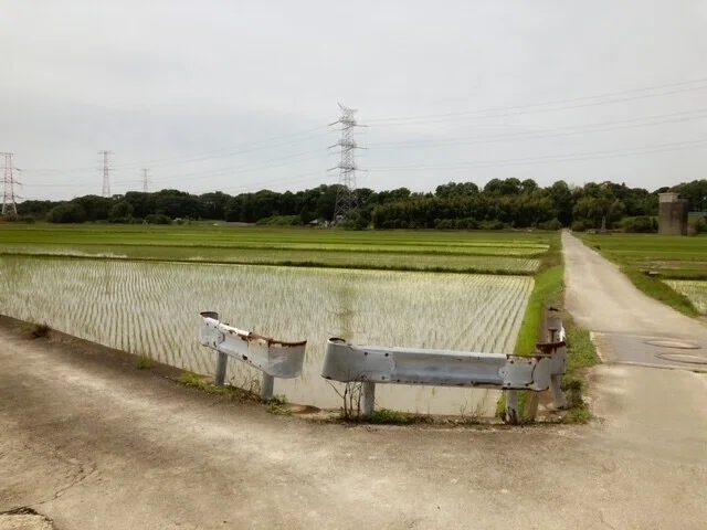画像9