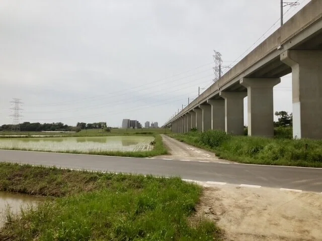 画像10