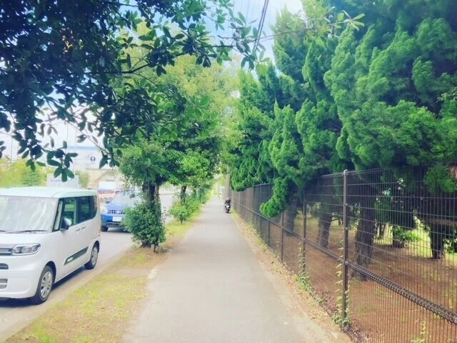 画像12