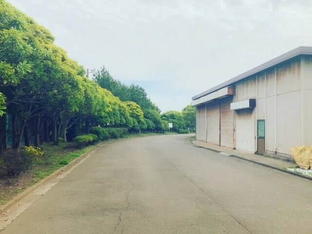 画像13