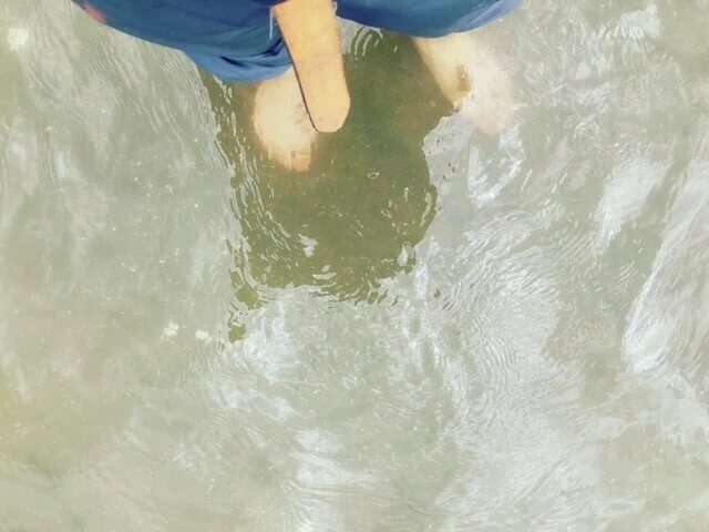 画像15