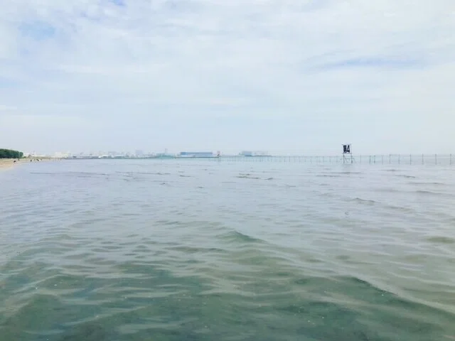 画像17