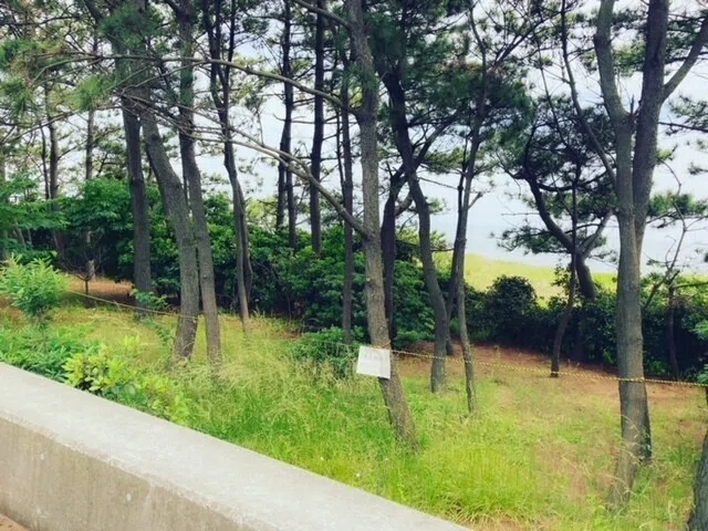 画像18