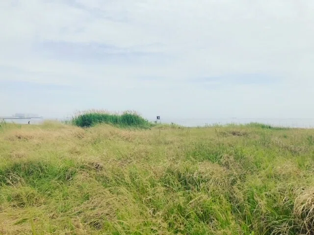 画像19