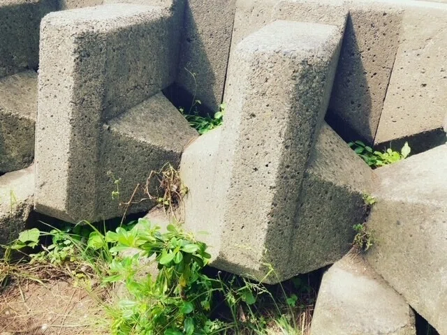 画像22
