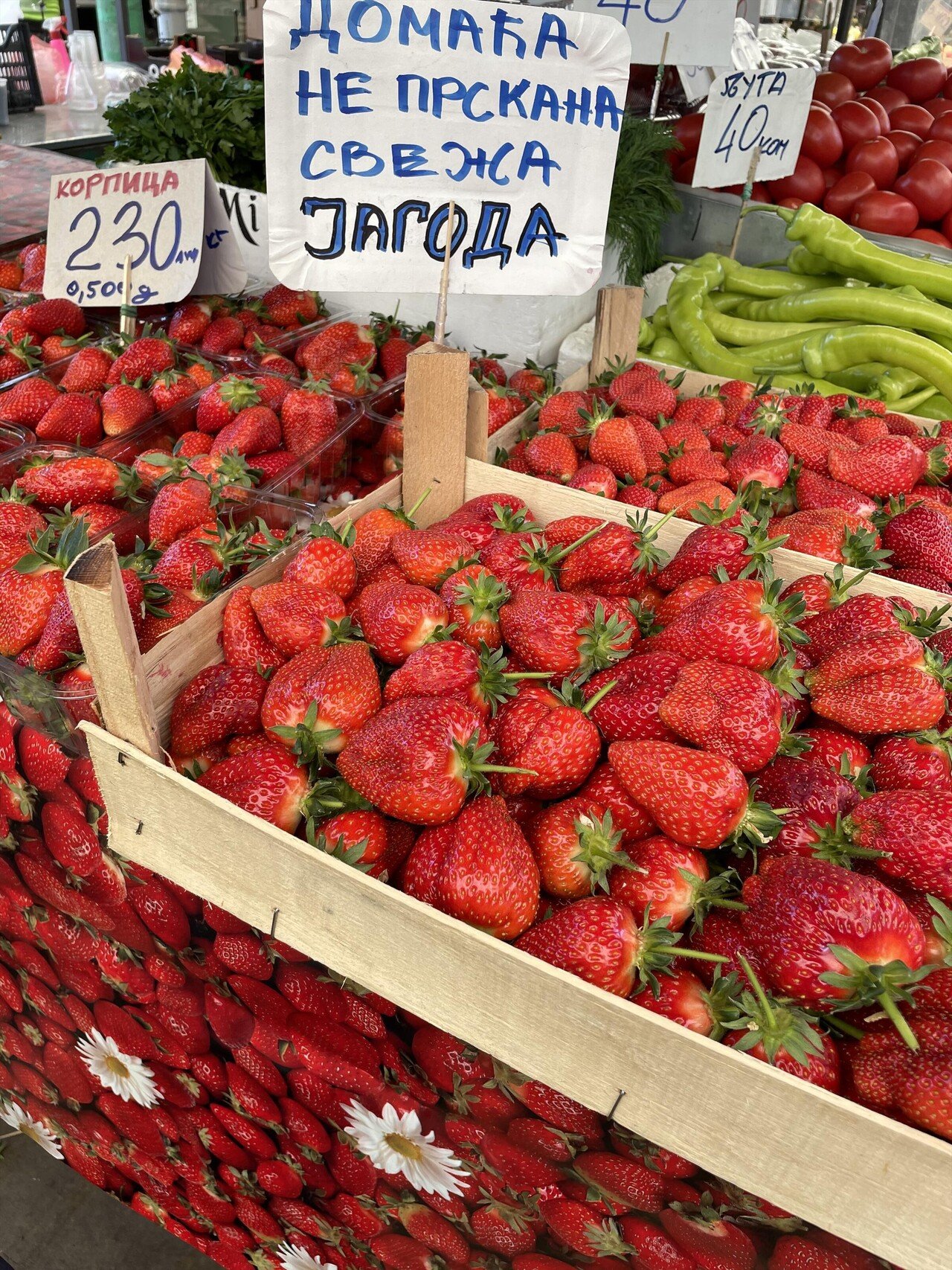 外資企業から注目が集まる セルビア視察 Jun Ito Note 外資企業から注目が集まる セルビア視察 Jun Ito Note