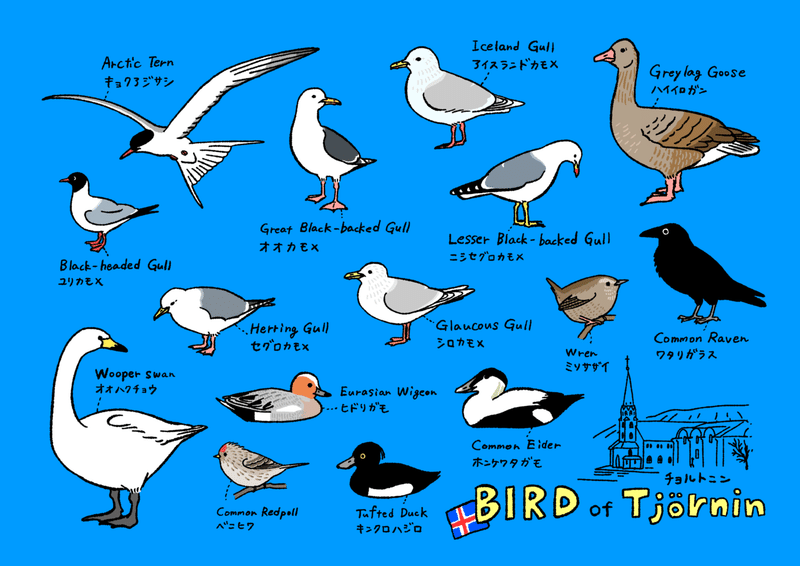 チョルトニン湖の鳥