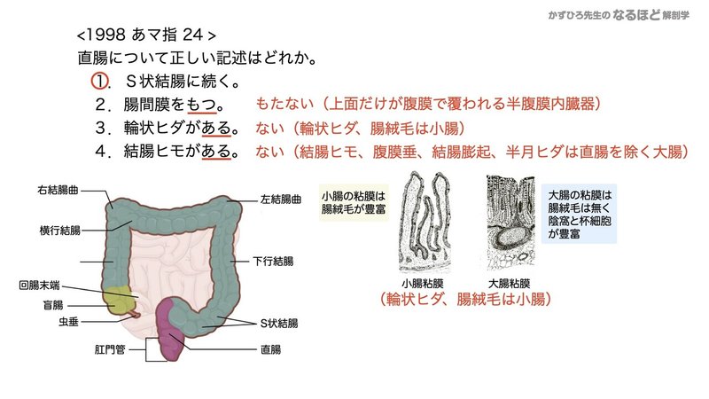 【徹底的国試対策】4-3 消化器系 - 大腸・腹膜.094