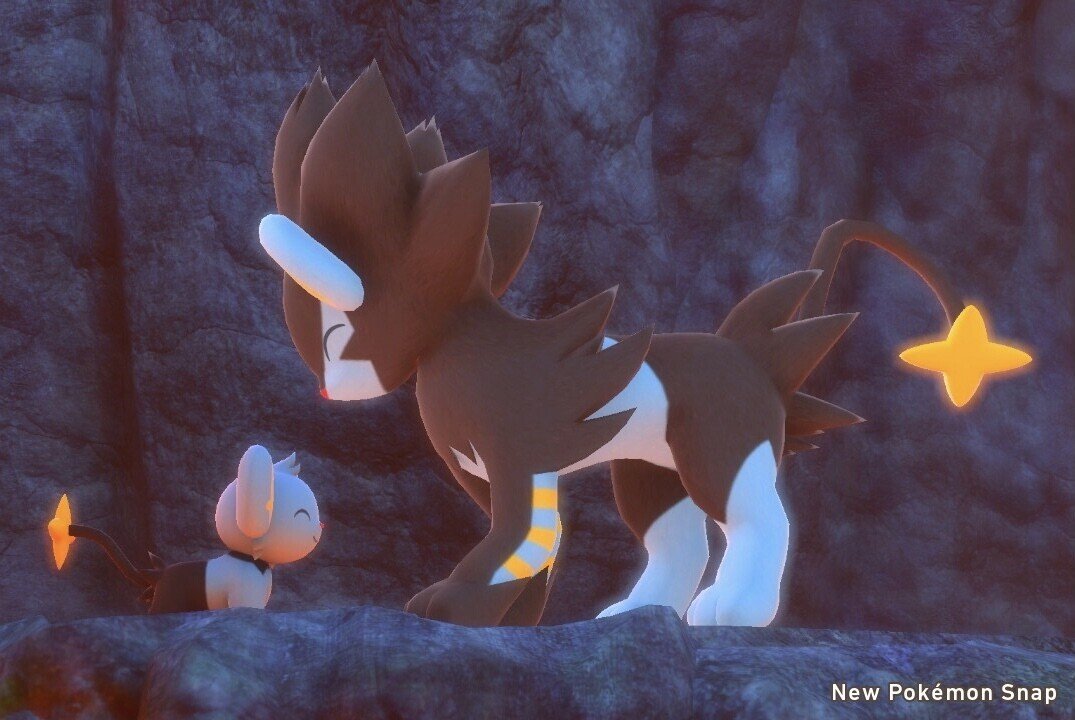 ポケモンスナップで遊ぶ 読む人 Note