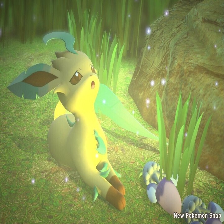 ポケモンスナップで遊ぶ 読む人 Note