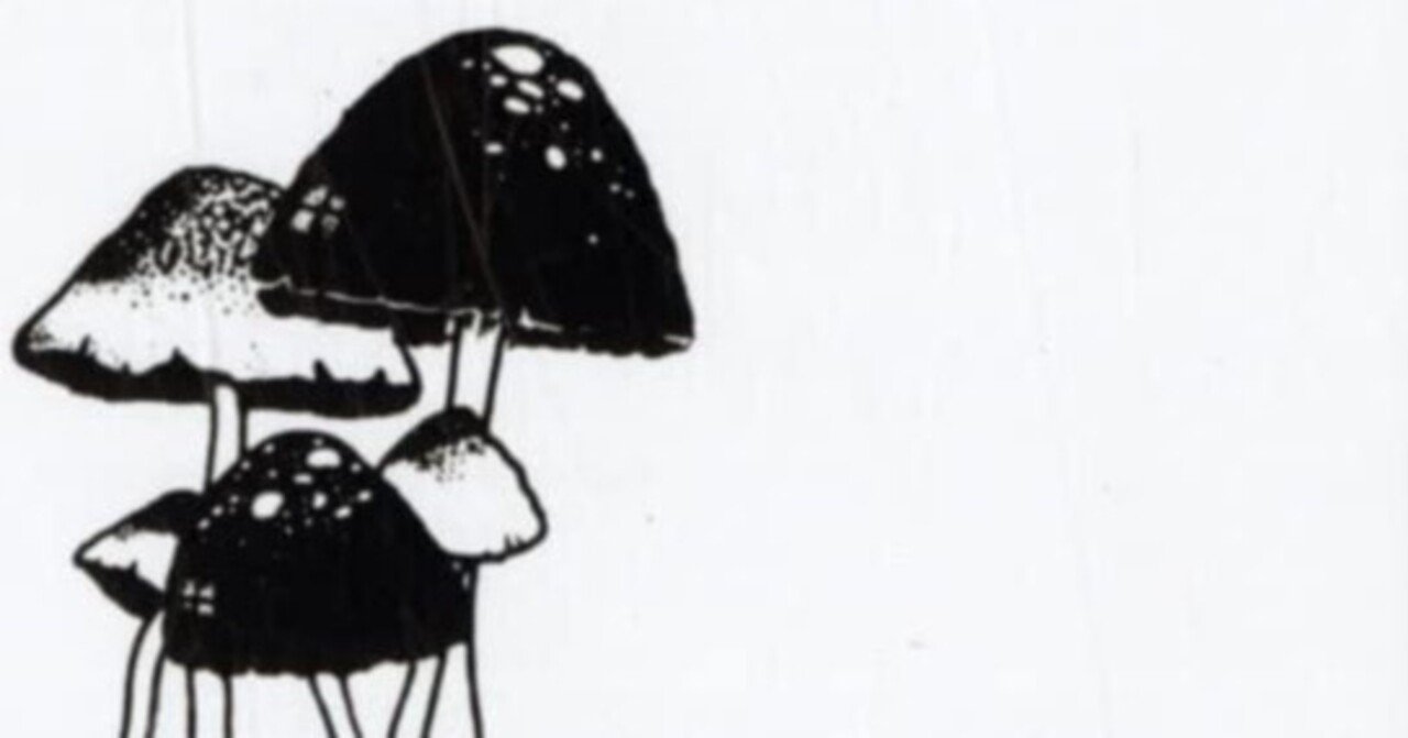 John CageとAKB48の共通点（2011年未発表）｜bxjp