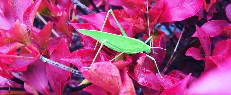 学びは思い込みからはじまる