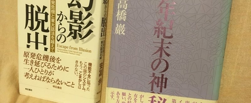 戦後70年間の日本人の感情にフォーカスした2冊の本（by 高橋巌、安富歩両氏）-1★ロータス≪蓮≫デザイナーの日常-081