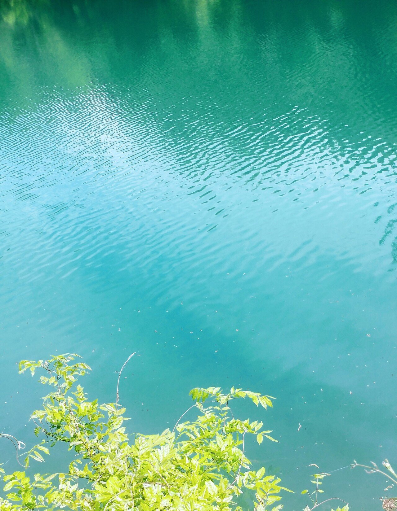 ちょっと休憩 かなで Note