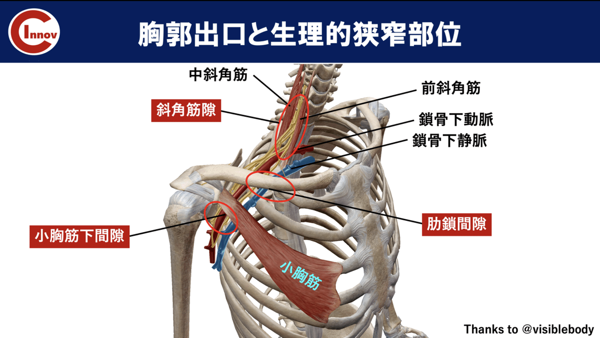 上肢の運動器疾患に対する評価と治療 ＜狭窄性腱鞘炎と胸郭出口症候群＞ 上肢の運動器疾患に対する評価と治療＜狭窄性腱鞘炎と胸郭出口
