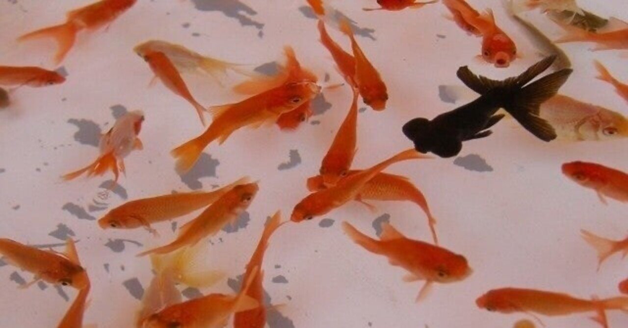 小説 画廊のピアノ 11 小説 廃屋の画家を書いた人 Note