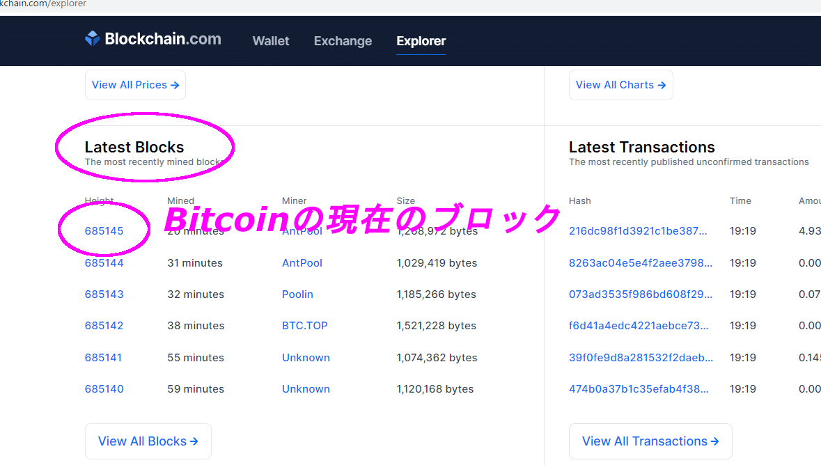 Maticのエクスプローラーを見てみよう！｜ユウキ