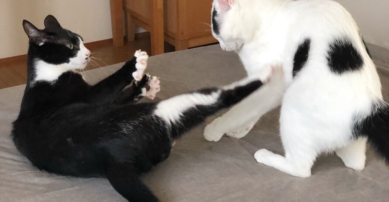 英語スラング の新着タグ記事一覧 Note つくる つながる とどける