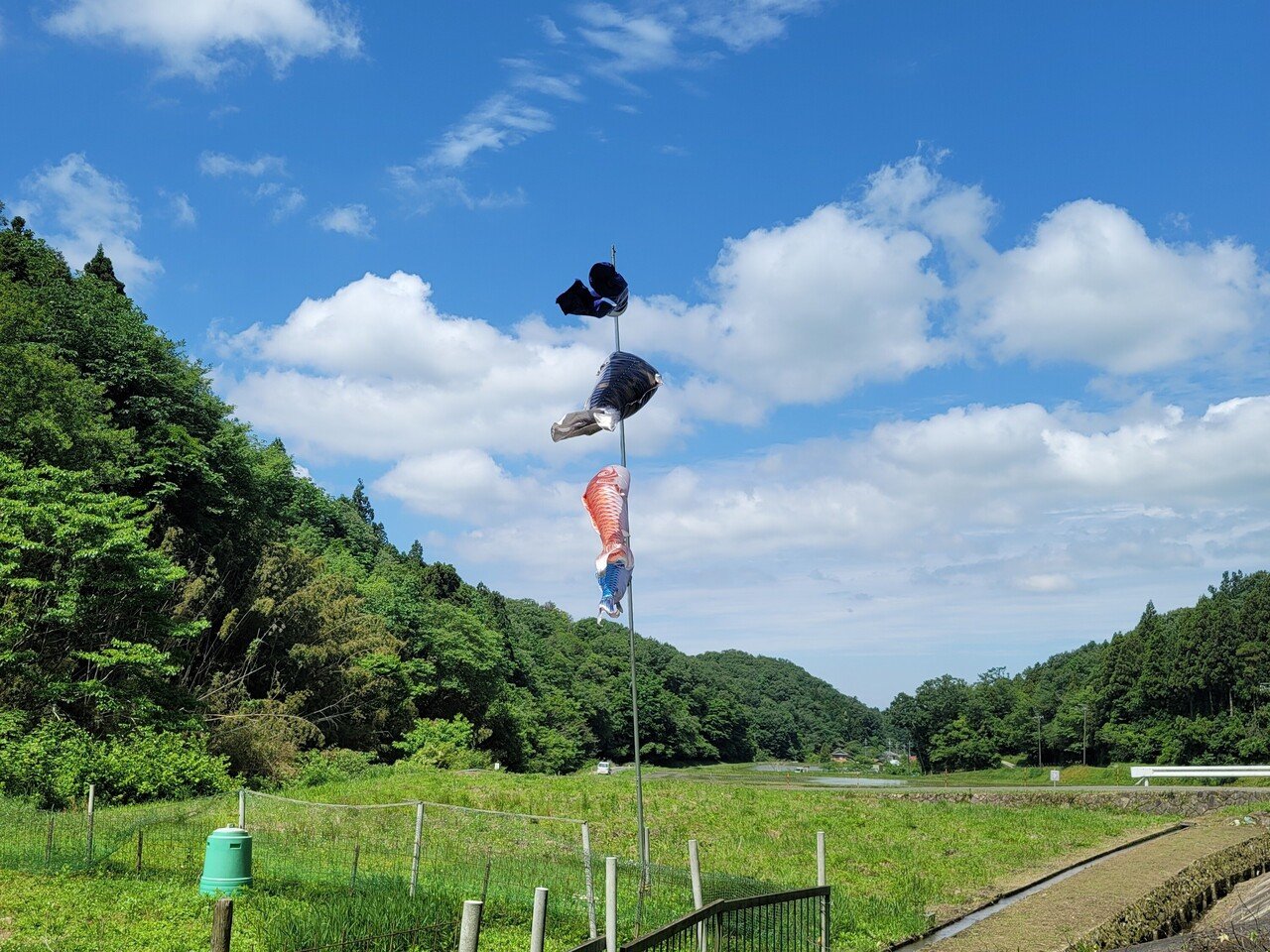 青葉繁れる 狼少年源 Note