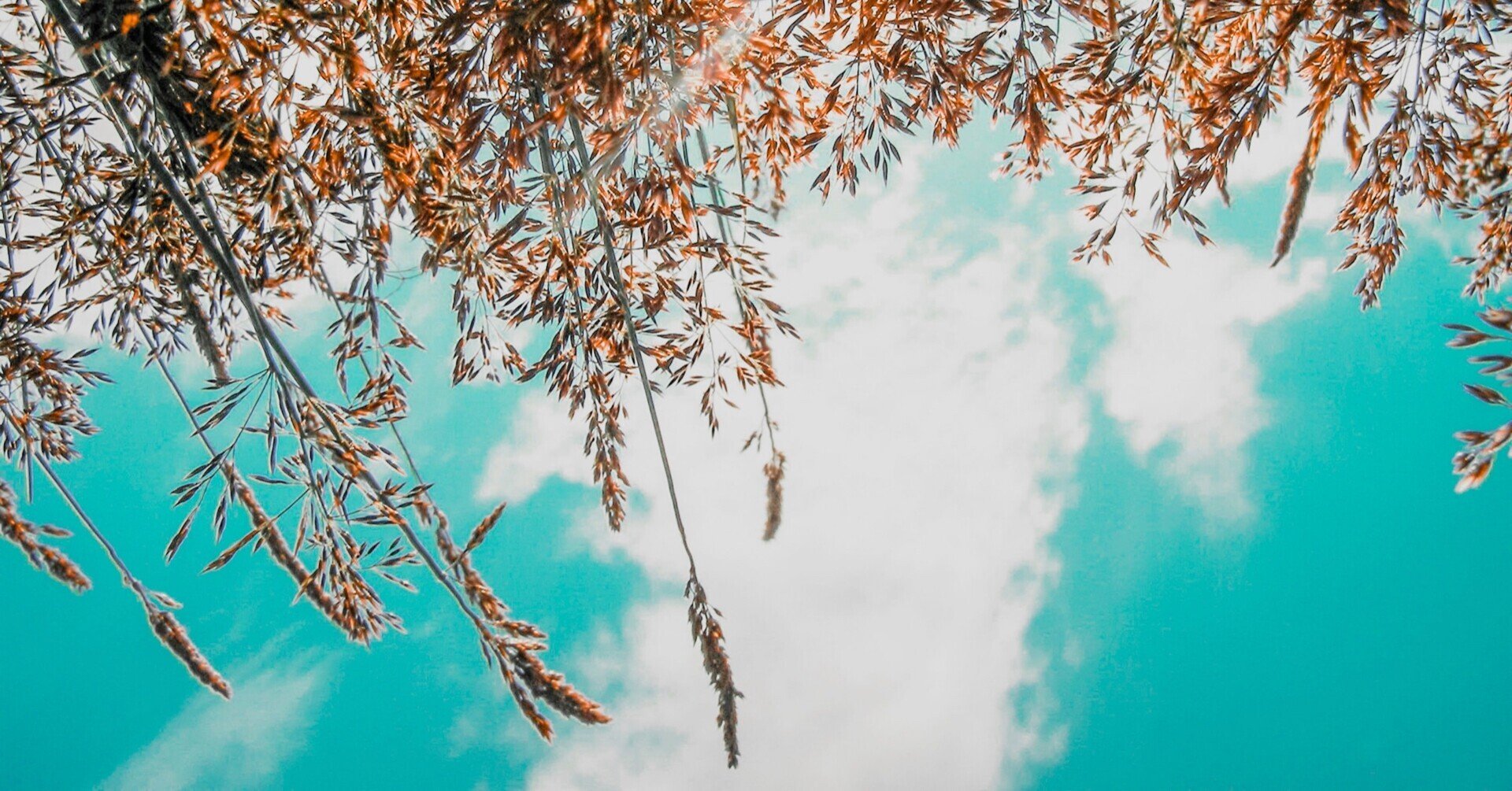 人に優しくなれる 夏目友人帳 石川由弥子 ゆみこ Note