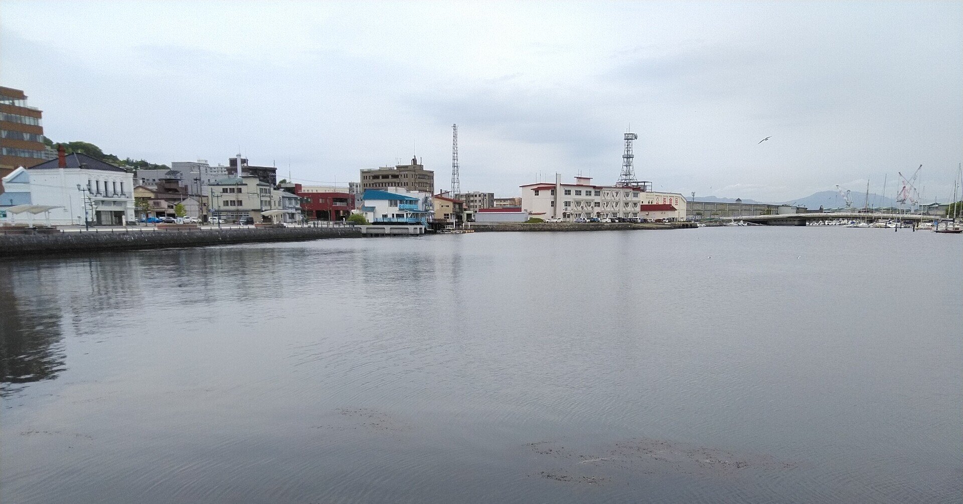 函館港でイルカを見たよ 21 05 27 Yosuke Enomoto Note 函館港でイルカを見たよ 21 05 27 Yosuke Enomoto Note