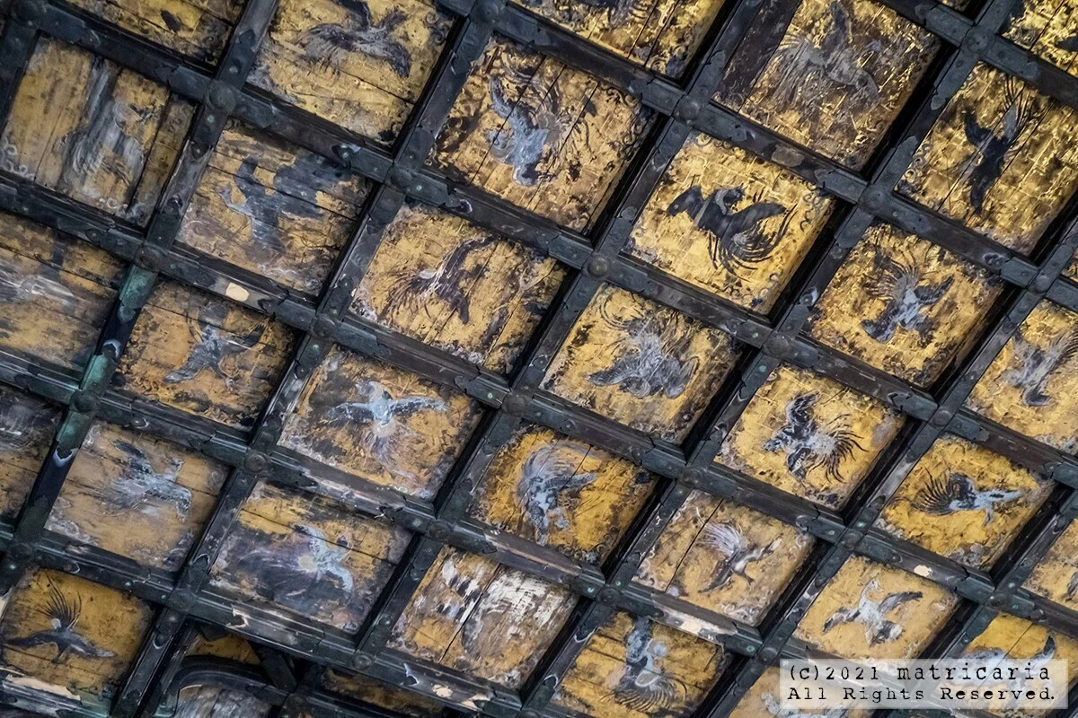 鎌倉・建長寺でご利益ハイキング。245段の階段をのぼると絶景が待っ