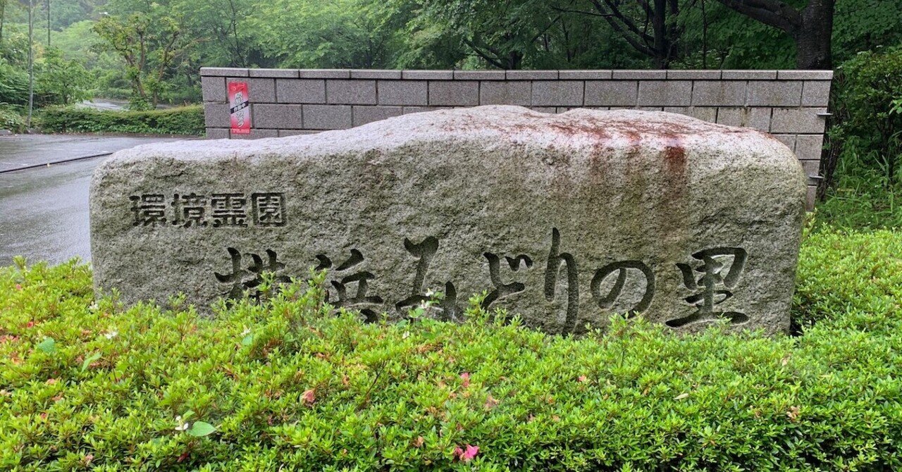 今日はzard 坂井泉水さんの命日 Moheji Active Records Note 今日はzard 坂井泉水さんの命日 Moheji Active Records Note