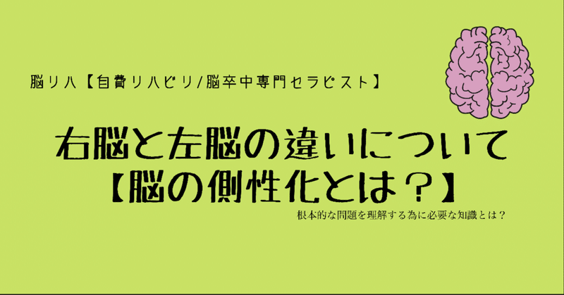 右脳と左脳の違い 脳の側性化 脳リハ 自費リハビリ 脳卒中専門セラピスト Note